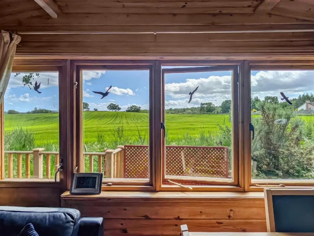a window in a room with birds flying in the sky at Red Kite Cottage in Tore