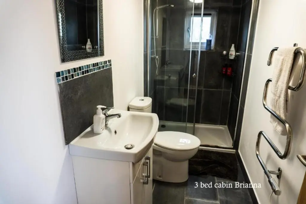a bathroom with a toilet and a sink and a shower at Culbokie Lodges in Culbokie