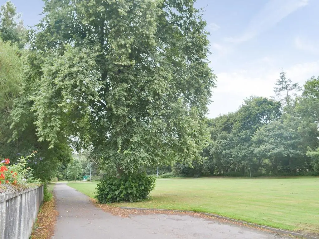 a large tree in a park next to a sidewalk at Braehead in Nairn