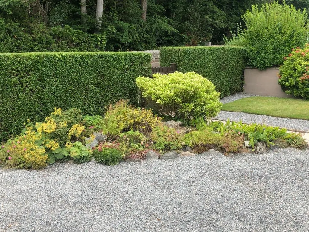 a garden with flowers and plants on the ground at Dallaire House in Banchory