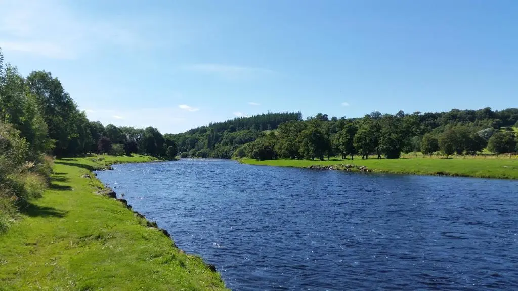 a river with grass and trees in the background at Bankhouse B&B in Aberlour