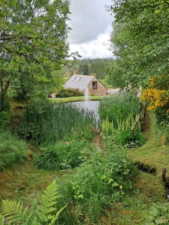 a pond in front of a house with a building at Boghead Cottage: Holiday Cottage in Royal Deeside in Banchory