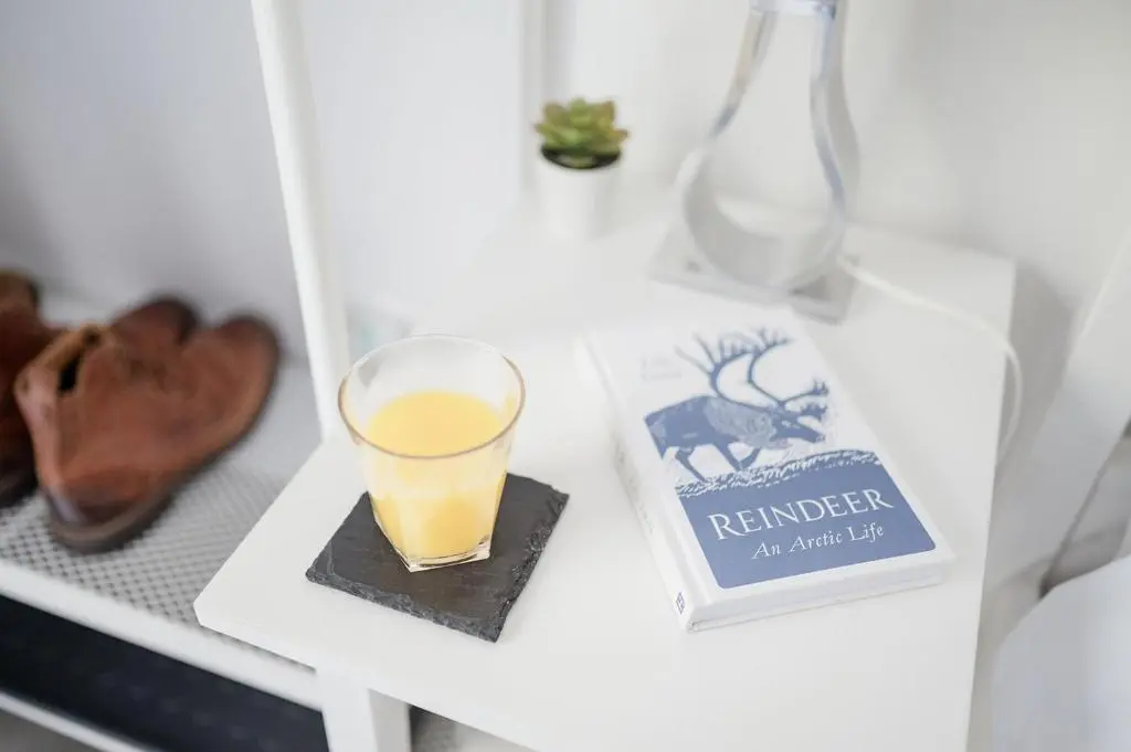a glass on a shelf with a book and a vase at Siskin Guest Suite in Kinrara