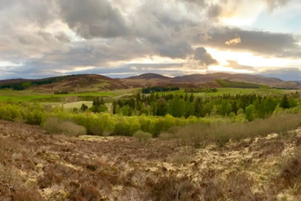 a field with trees and mountains in the distance at Blairbeg Cottage in Blairgowrie