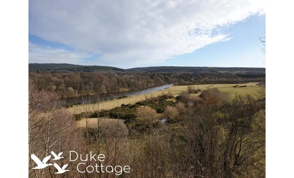 a view of a river in a field with trees at Duke Cottage in Fochabers