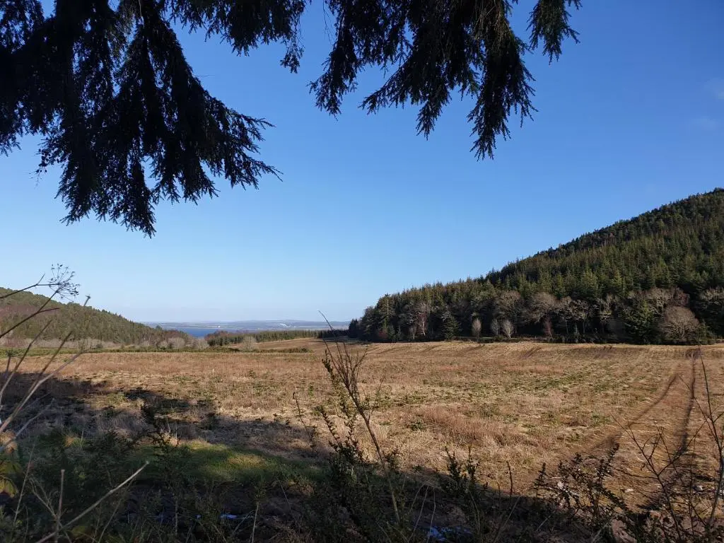 an open field with trees in the background at Craigbreck Farm Cottage in North Kessock