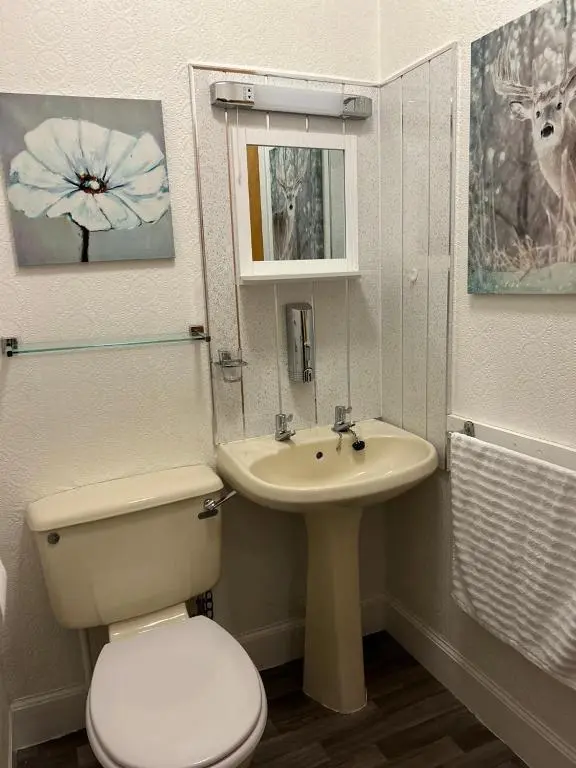 a bathroom with a toilet and a sink at Tay Villa in Inverness