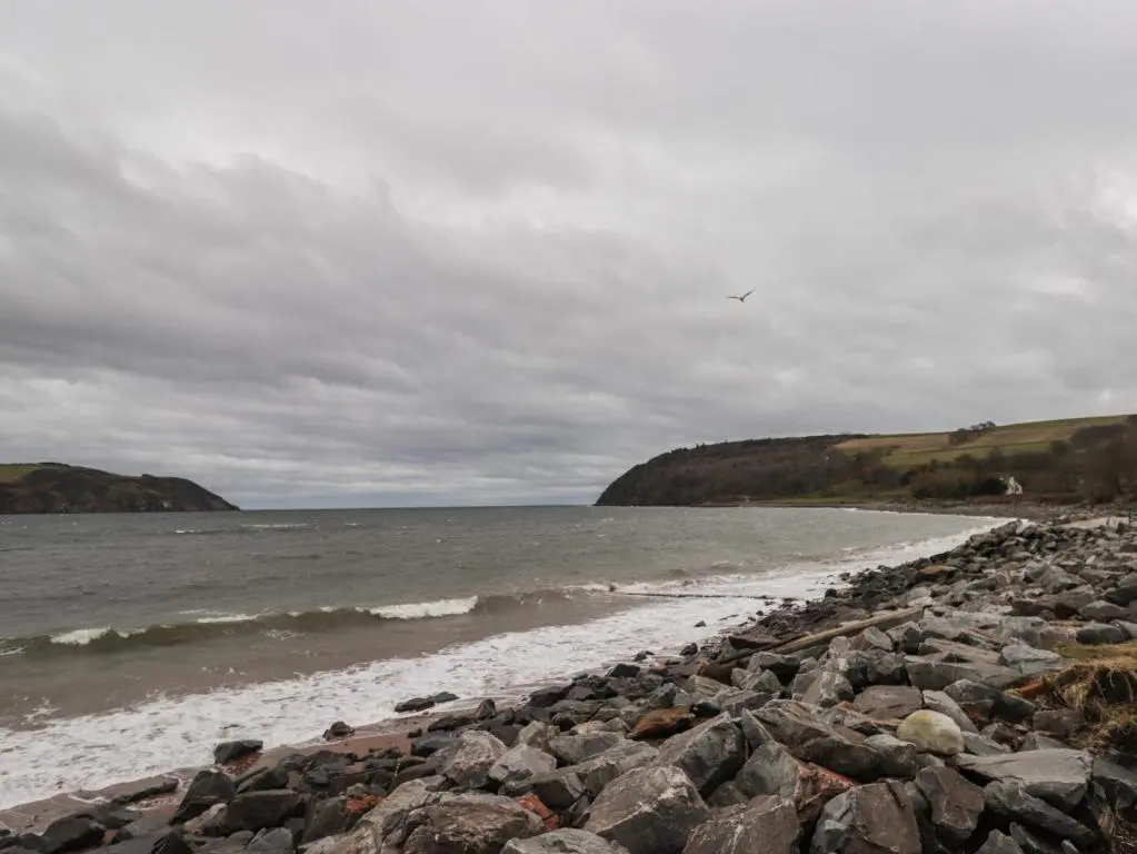 a rocky beach with a bird flying over the water at Lydia Cottage - Cromarty in Cromarty