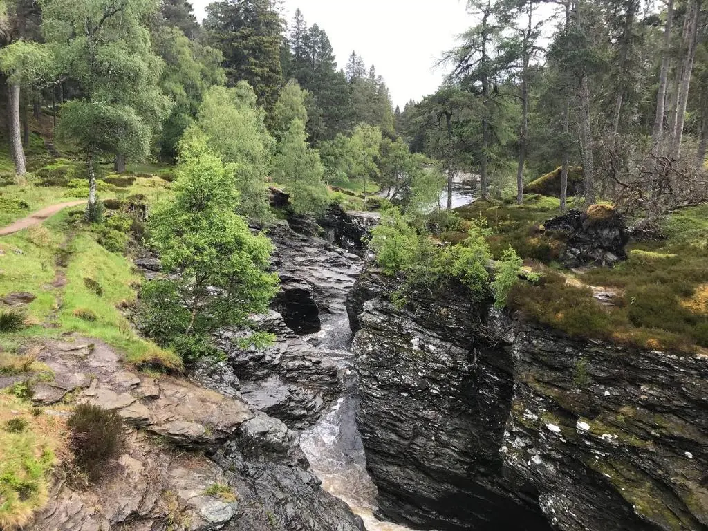a river in the middle of a forest at Derry - Mar Lodge Estate in Ballater