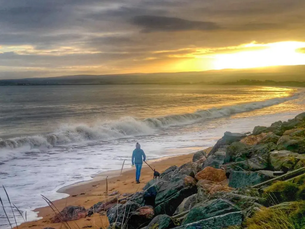 a person walking on the beach with a dog at Wester Links in Fortrose