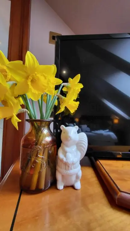 a vase with yellow flowers next to a vase with yellow daffod at Red Squirrel Lodge in Boat of Garten