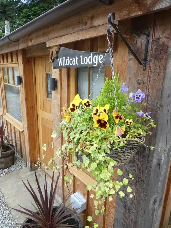 a basket of flowers on a wooden shed at Wildcat Lodge in Boat of Garten
