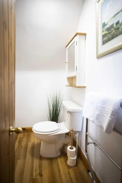 a bathroom with a white toilet and a wooden floor at Rowan Cottage in Aviemore