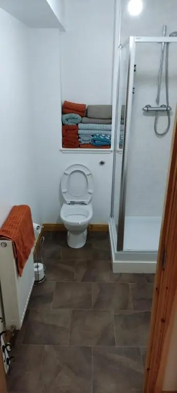 a bathroom with a toilet and a shower at Rooms at The Cooperage in Auchleven