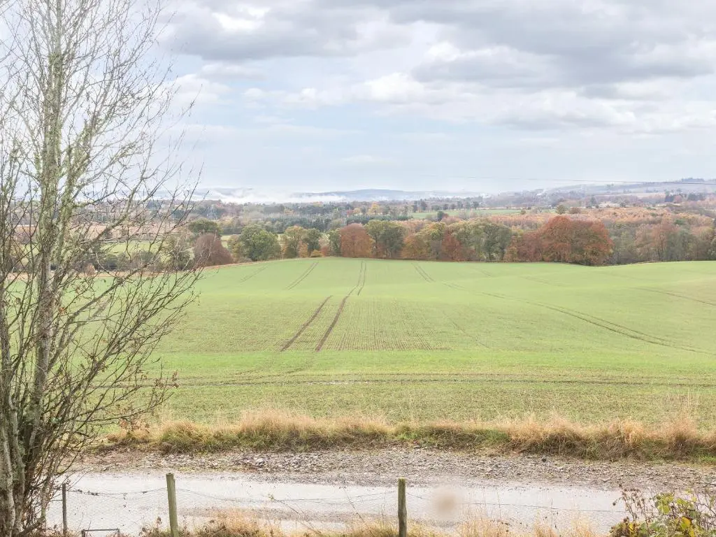 a large green field with trees in the background at Balnain 1 in Cononbridge