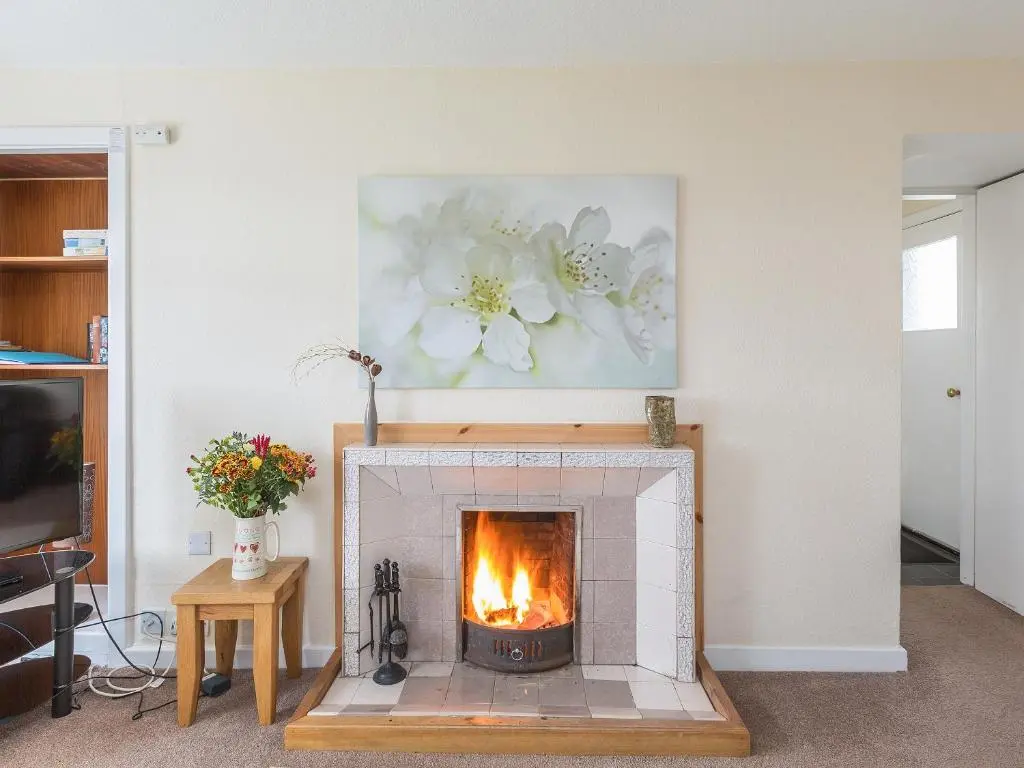 a fireplace in a living room with a picture on the wall at Balnain 1 in Cononbridge