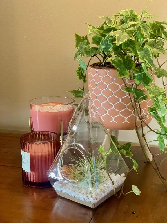 a plant in a plastic container next to a potted plant at The Barley Mill in Elgin