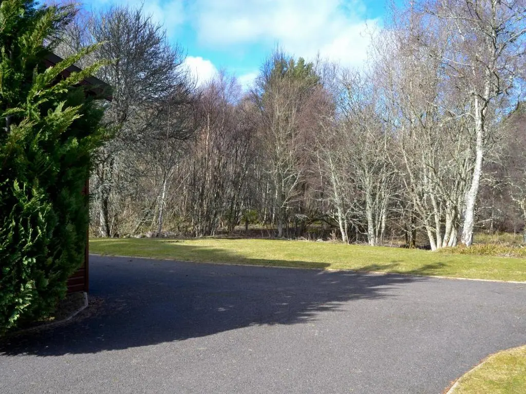 a road in a park with trees in the background at Lodge E- Uk33091 in Dinnet