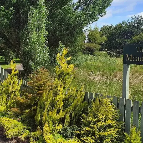 Meadows 2