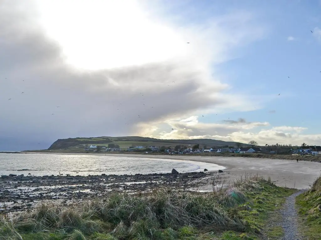 a beach with a group of birds on the shore at Iseabail's House in Balintore
