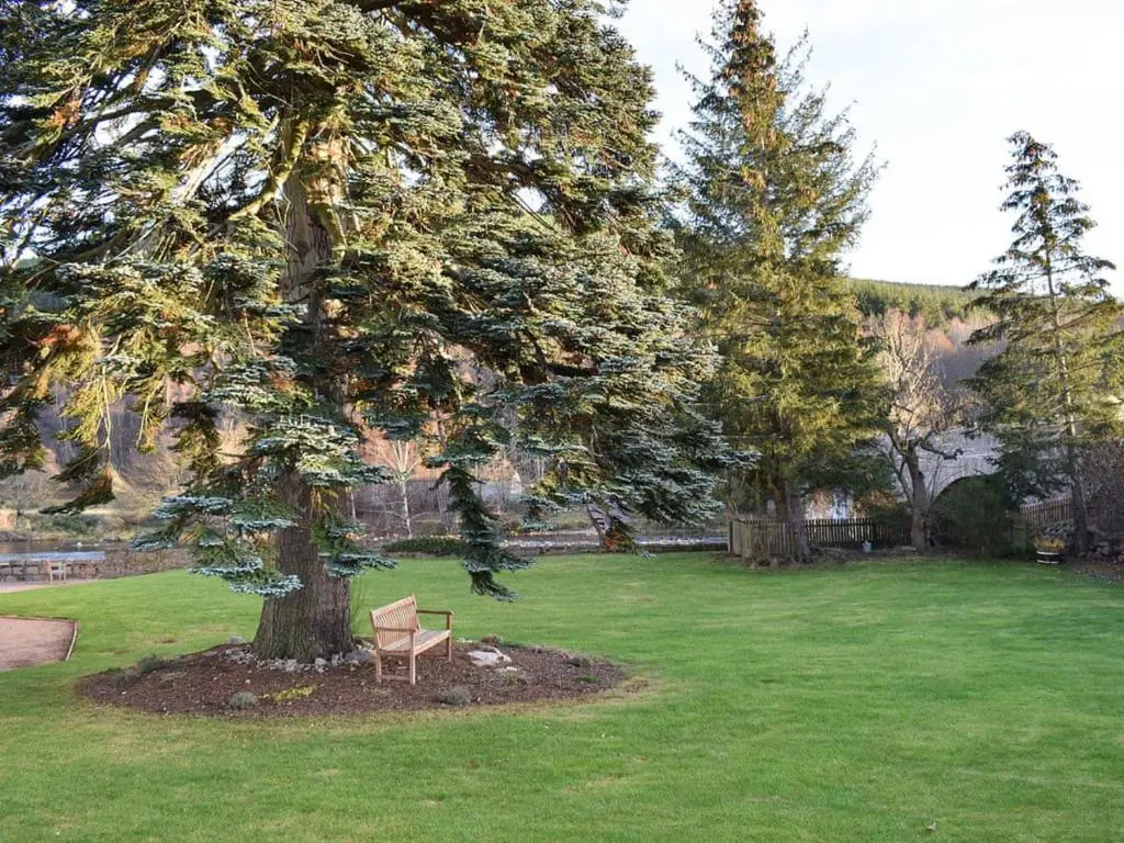 a bench sitting under a tree in a yard at Lovely 2 bedroom apt in Ballater on the River Dee in Ballater