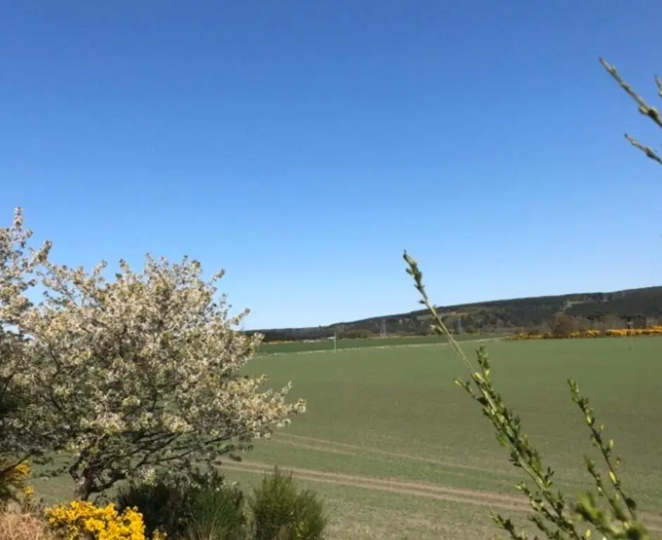 a large green field with a tree in the foreground at Lovely 1-Bed House in Fochabers Scotland in Fochabers