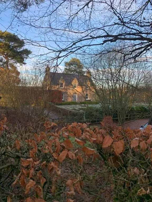 a pile of leaves in front of a house at Balloan Cottage in Dornoch