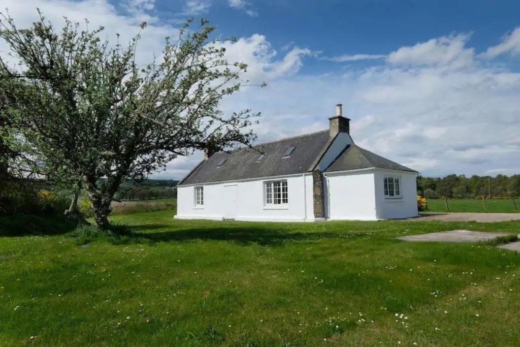 a white house with a tree in a field at Lower Bruntlands in Fochabers