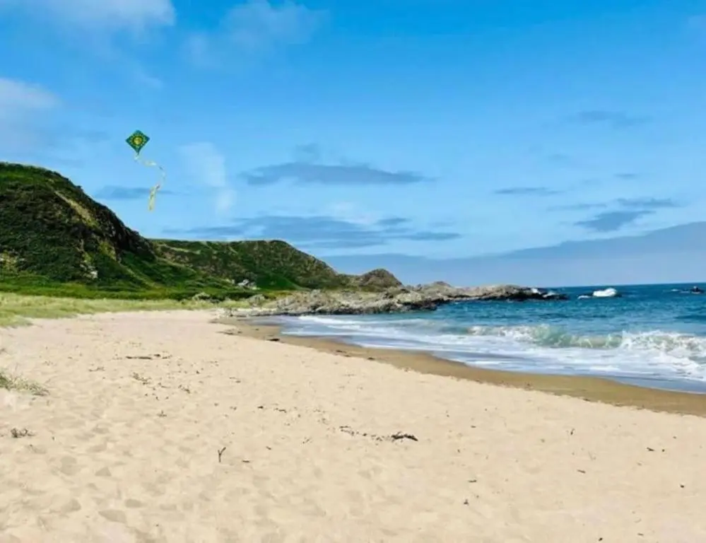 a kite flying over a sandy beach next to the ocean at Lower Bruntlands in Fochabers
