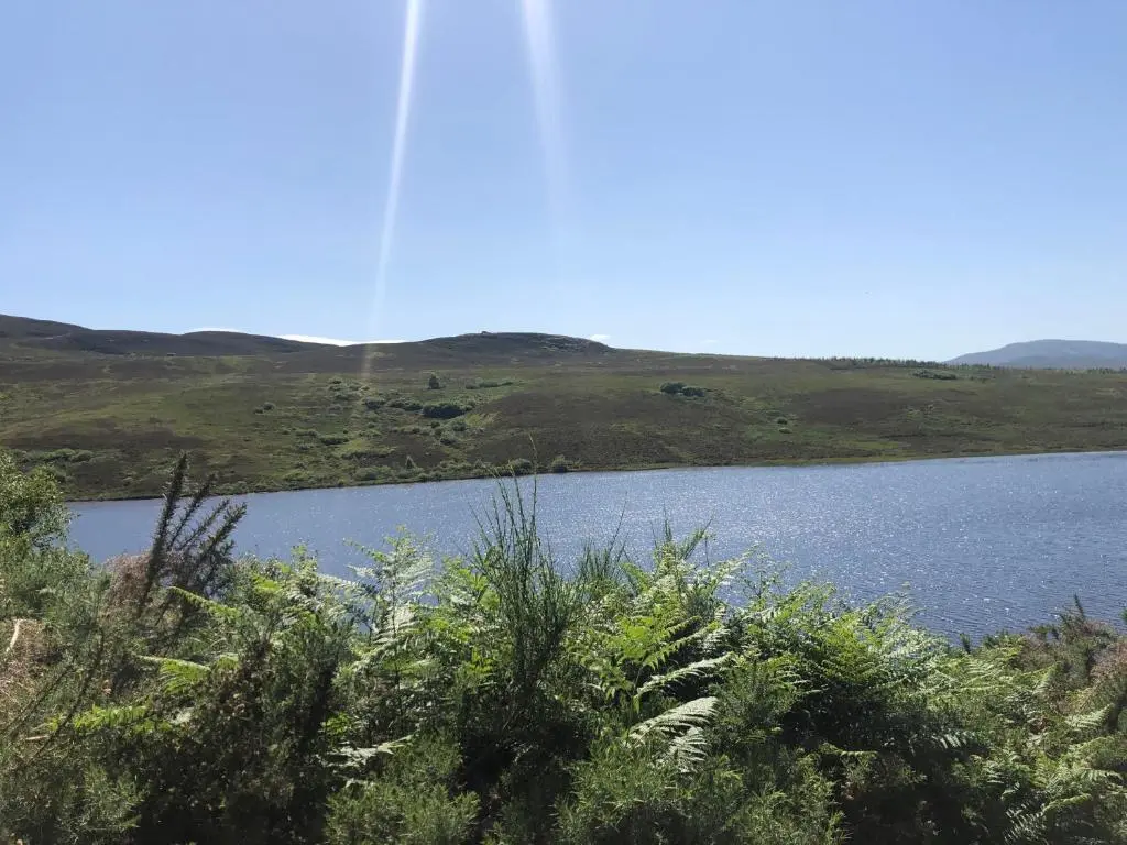 a view of a body of water with grass at Foresters Lodge bed and breakfast, near loch ness in Inverfarigaig