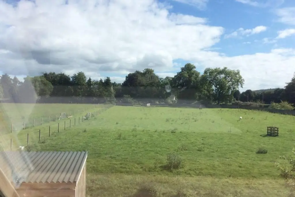 a large green field with animals in it at The Nest - Near Inverness & Loch Ness in Inverness