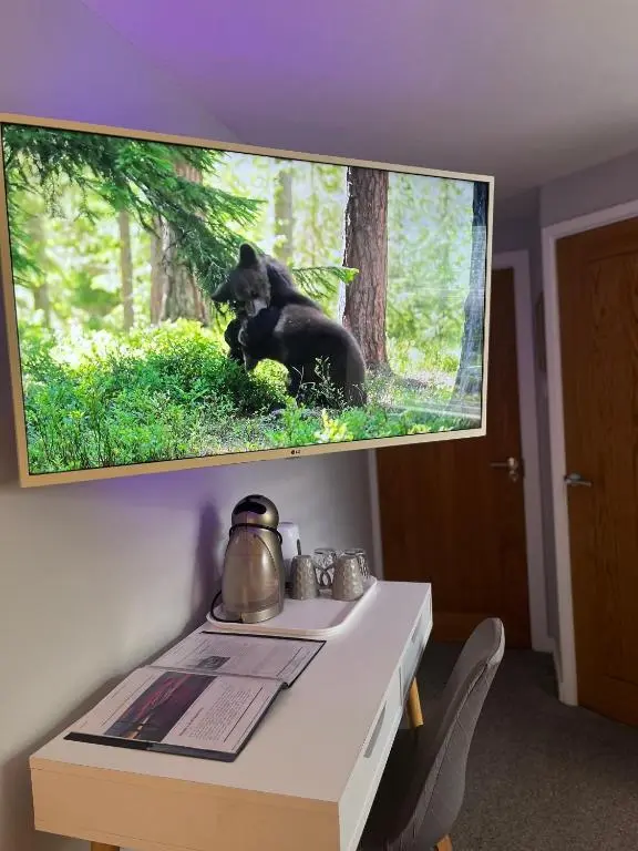 a bear sitting on a table with a tv on the wall at Shore Street Apartments in Inverness