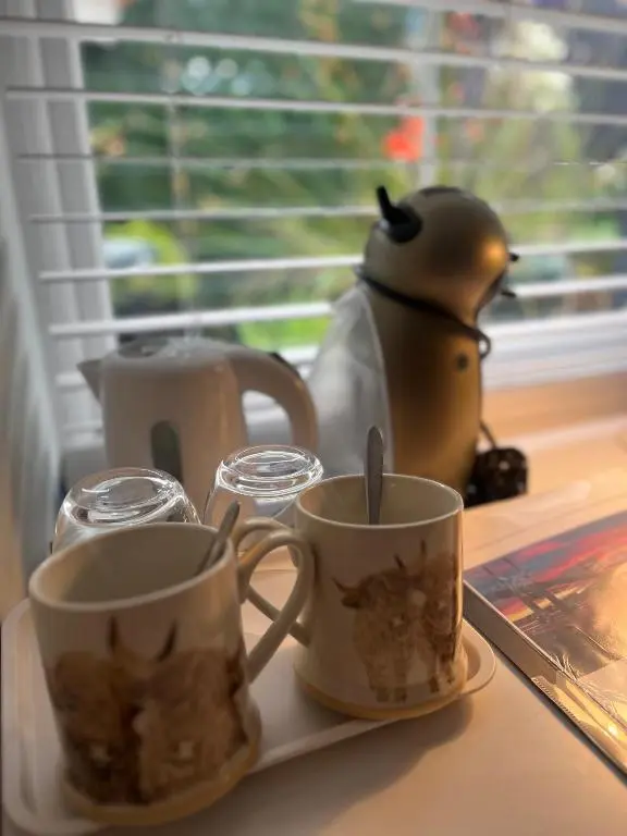 two cups of coffee sitting on a tray next to a window at Shore Street Apartments in Inverness