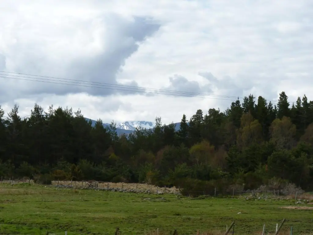 a field with trees and mountains in the background at Tanleys B&B in Grantown on Spey