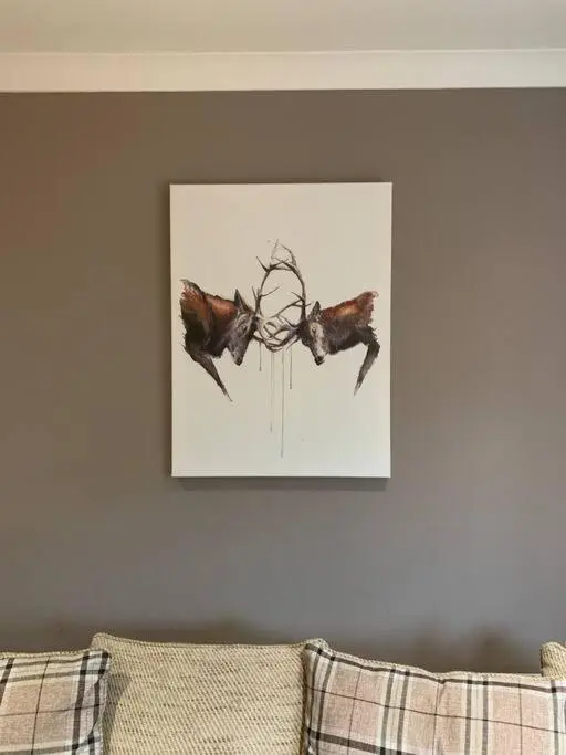 a picture of two birds hanging on a wall at In the heart of Inverness in Inverness