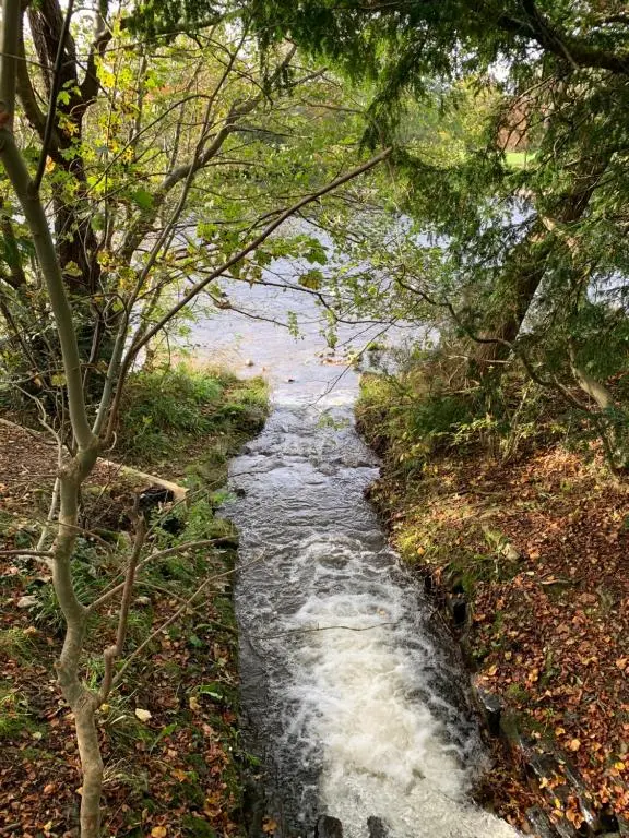 a stream of water in the middle of a forest at In the heart of Inverness in Inverness