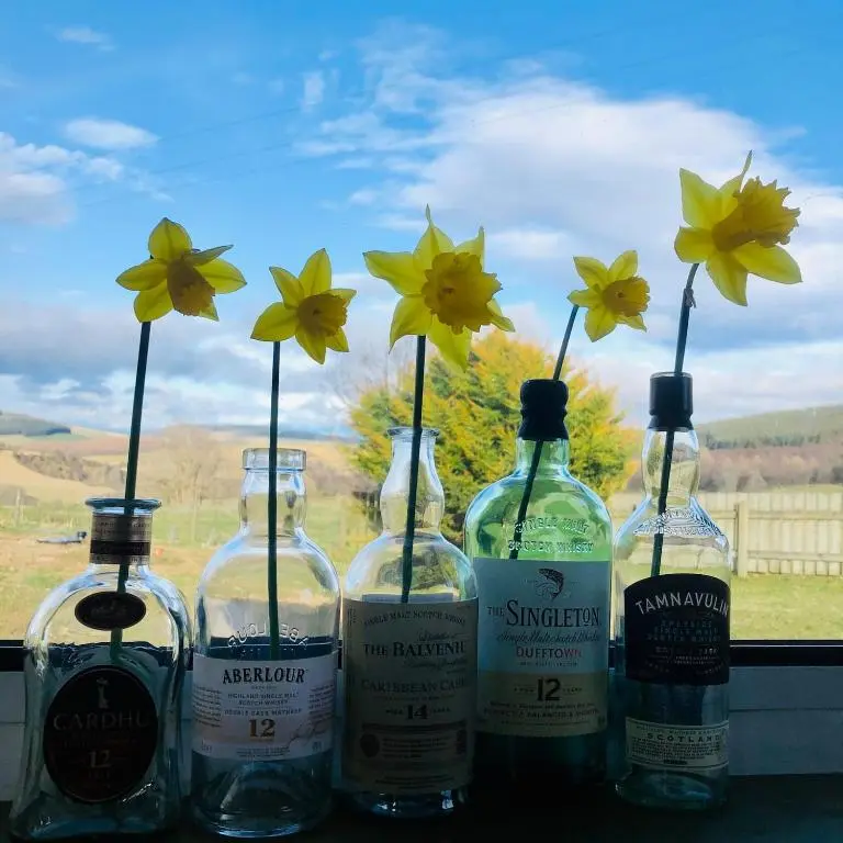 four bottles of wine sitting on a window sill with flowers at Lettoch Farm Holiday Home in Dufftown