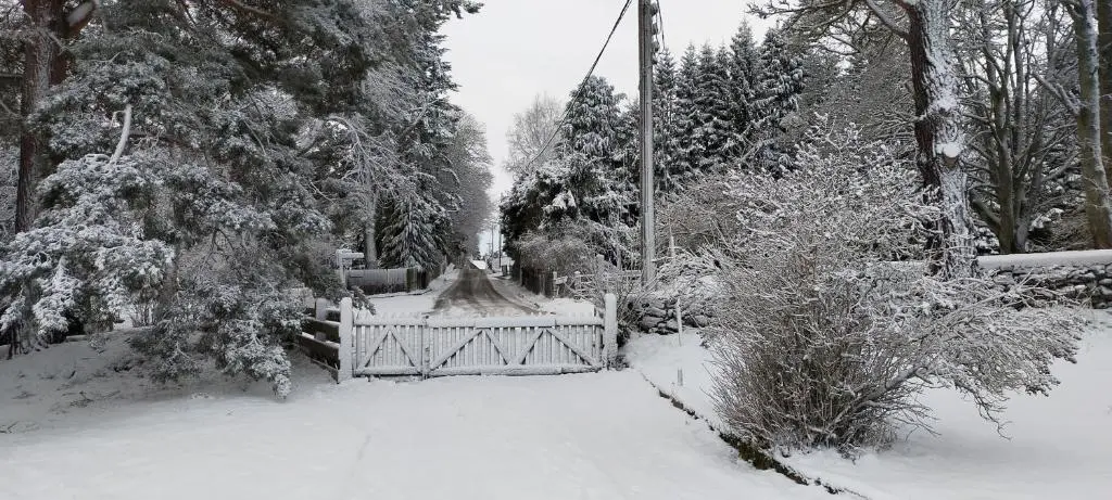a snow covered yard with a fence and trees at Ardvonie House in Kingussie