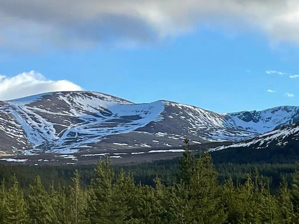 a snow covered mountain with trees in the foreground at Woodside retreat holiday home in Aviemore in Aviemore