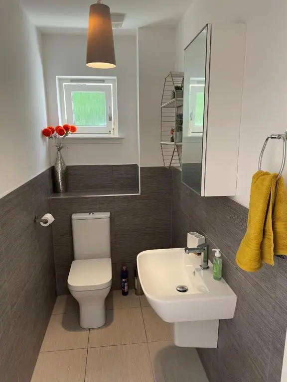 a bathroom with a white toilet and a sink at Woodside retreat holiday home in Aviemore in Aviemore
