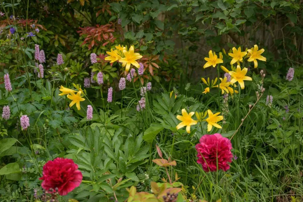a garden filled with yellow and red flowers at Haven Retreat Scotland - Large 4 Bed House with Woodland garden, Aboyne ,Royal Deeside in Aboyne