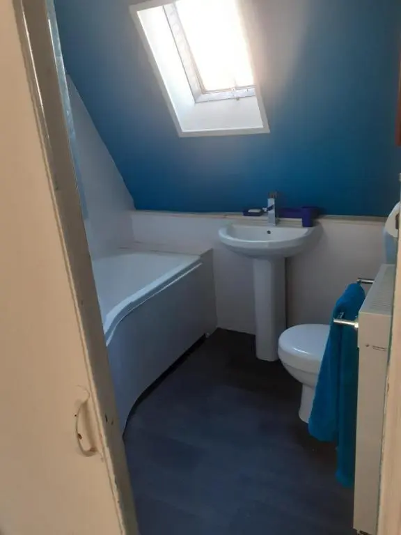 a bathroom with a sink and a toilet and a skylight at Just off the Square... Ballater in Ballater
