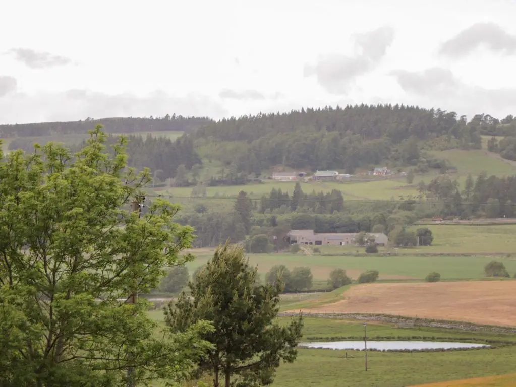 a view of the rolling hills and trees at Culreach Lodge in Grantown on Spey