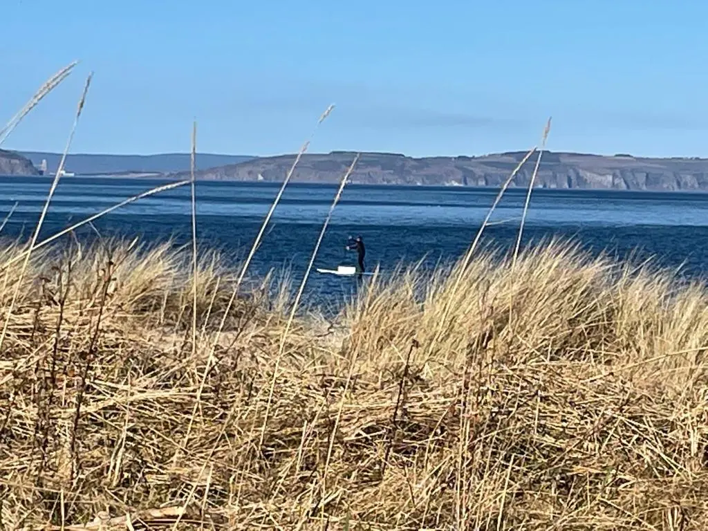 a bird in the middle of the water at Monkland Cottage in Nairn