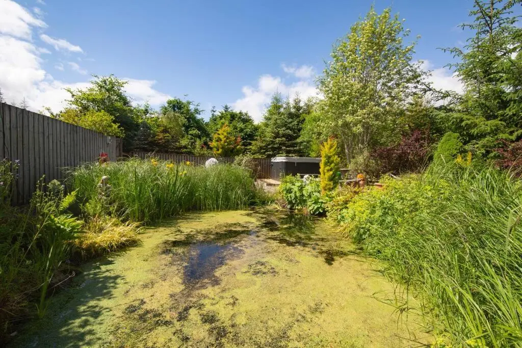 a garden with a pond in the middle of a yard at Calm Scottish Country Escape with Hot Tub Sleeps 6 in Inverness