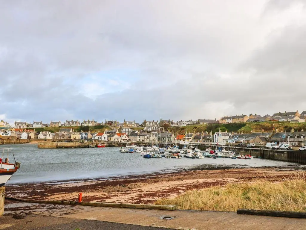 a group of boats docked in a harbor at Harbour View in Buckie