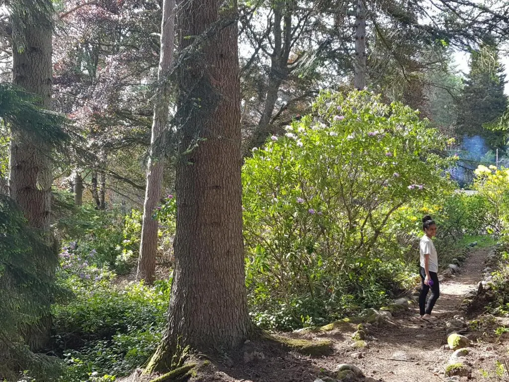 a young boy walking down a trail in the woods at Cambus O' May Traditional Highland Hotel in Ballater
