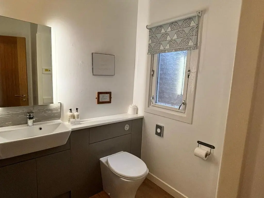 a bathroom with a sink and a toilet and a window at Heather Lodge 12 with Hot Tub in Belladrum