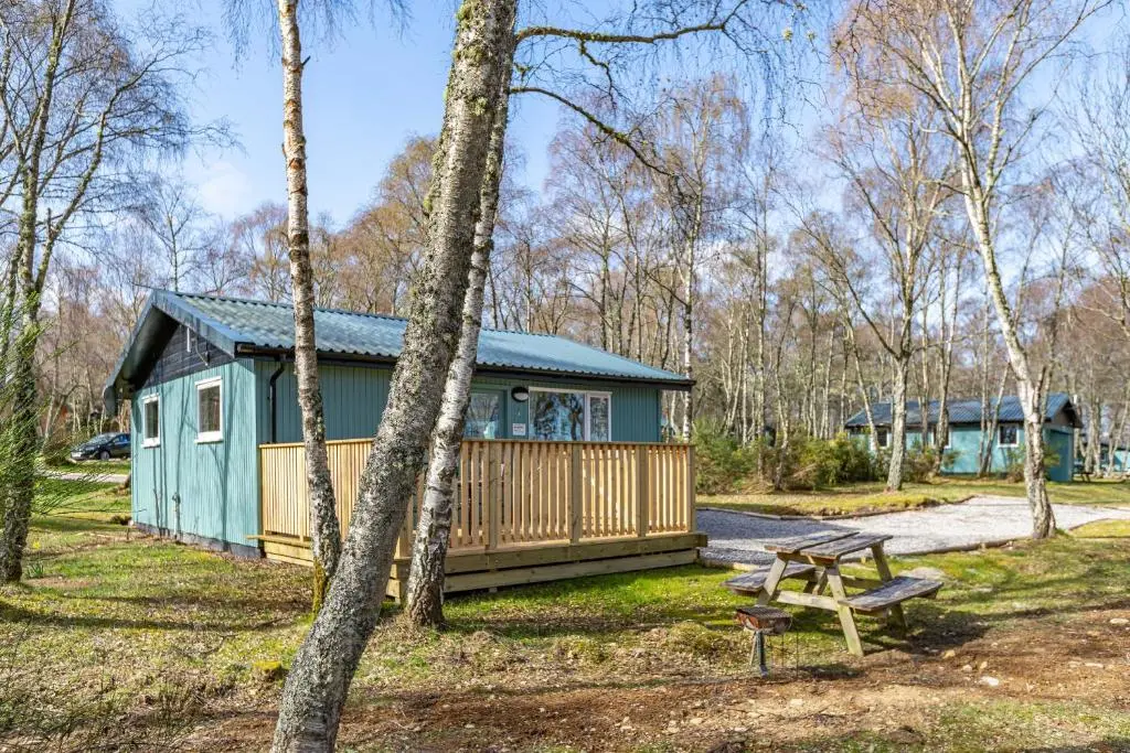 a cabin in the woods with a picnic table and a bench at Bracken Lodge 16 with Hot Tub in Belladrum