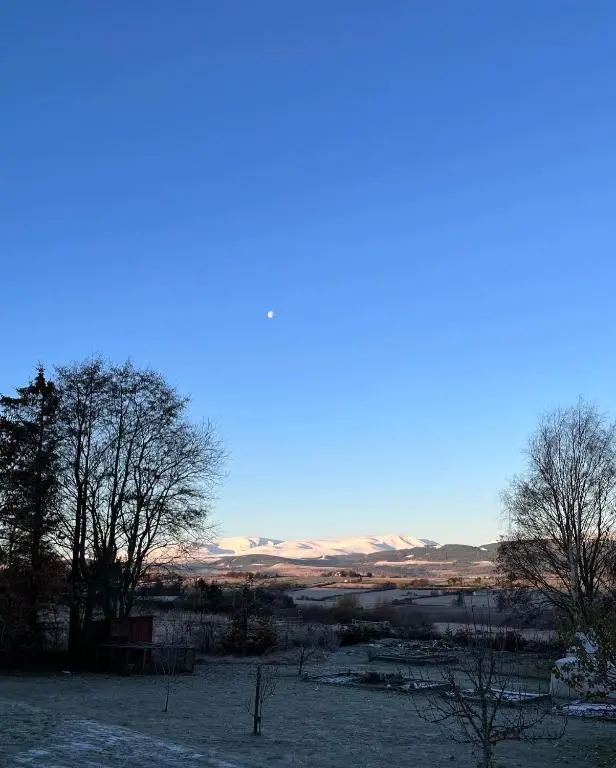 a snowy field with trees and mountains in the background at Fyrish View in Dingwall